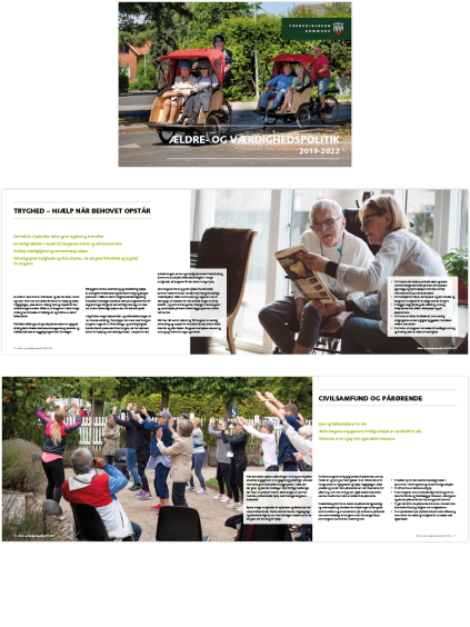 Heidi Borg, infografik, visuel kommunikation, grafisk design, Frederiksberg Kommune, ældre, værdighed, politik