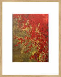 Heidi Borg, grafik, kobbertryk, intaglio